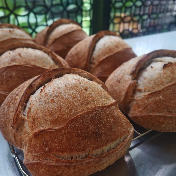 ขนมปังซาวโดว์ก้อนกลม / Round sourdough loaves